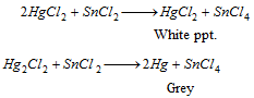 676_wet test for basic radical23.png